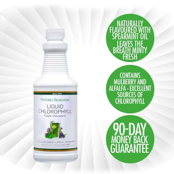 Liquid Chlorophyll with Natural Spearmint oil (476 ml) - Image 3